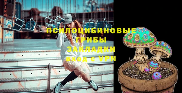 эйфоретик Арсеньев