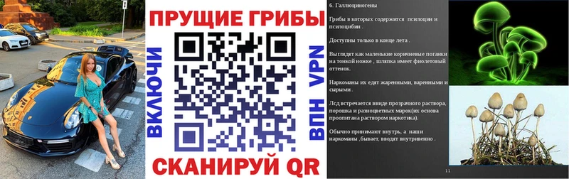 площадка официальный сайт  Чудово  Псилоцибиновые грибы GOLDEN TEACHER 