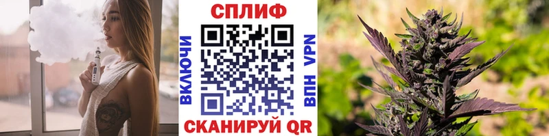 Канабис конопля  Чудово 